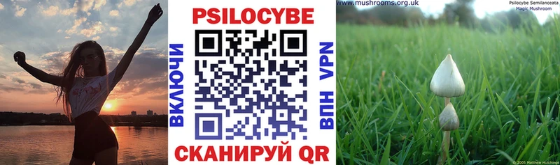 гидра ТОР  Глазов  Галлюциногенные грибы ЛСД 